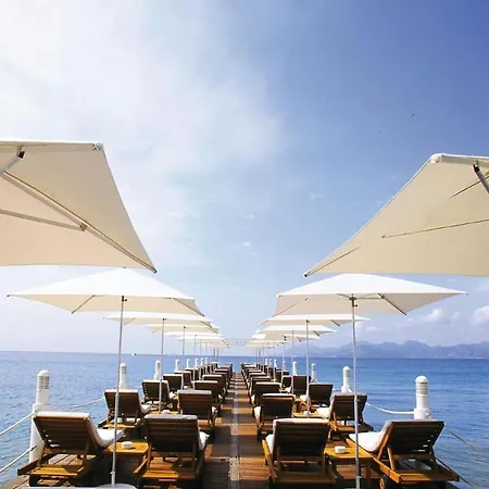 Preyre 14 * Cannes