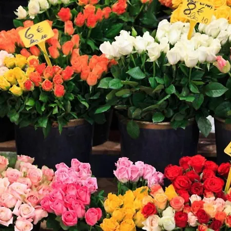 Preyre 14 Apartament